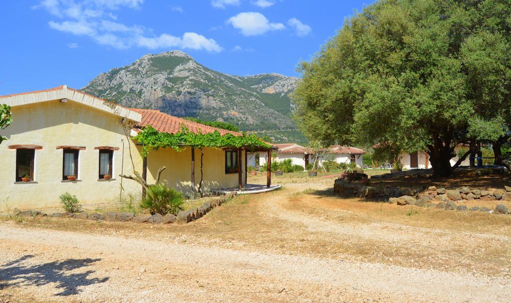 Agriturismo Rubinu Galtellì Exterior foto